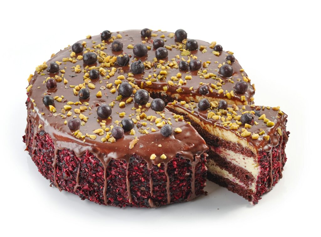 chocolate and blackcurrant cake